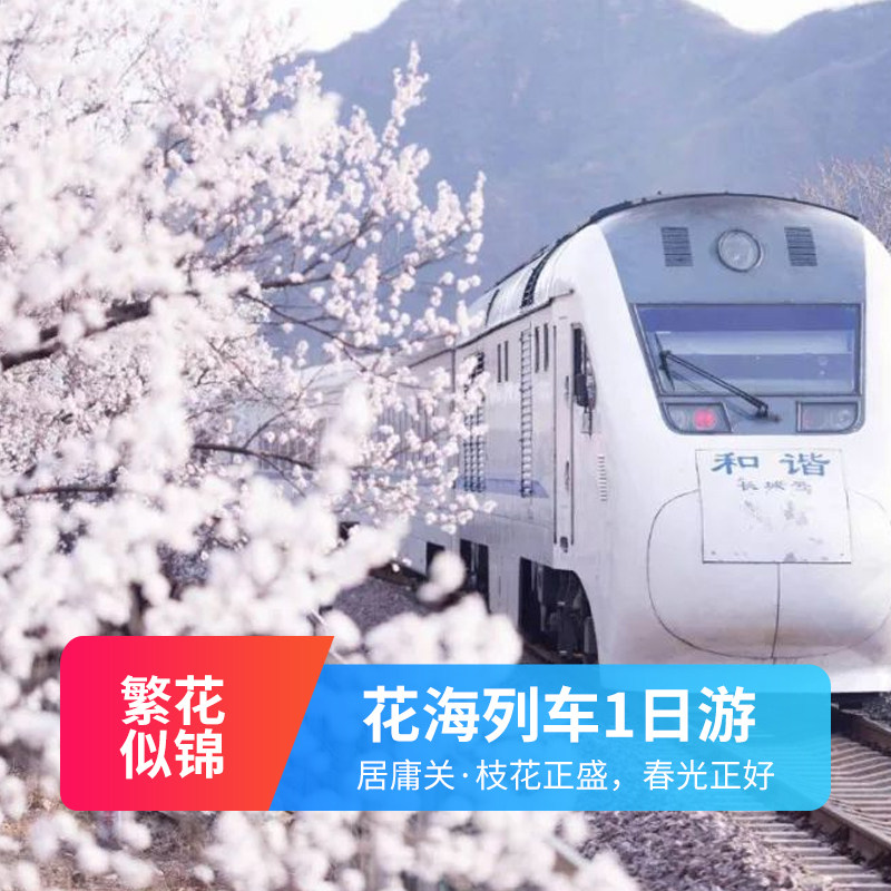 花海列车1日游居庸关长城赏花一日游春游踏青北京周边游