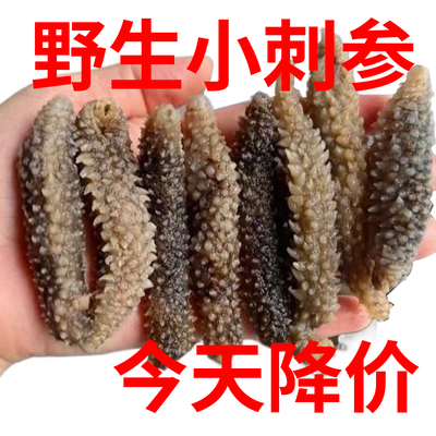 野生海参干货黑刺参孕妇级特价正宗刺参纯淡干海参秃参非辽参营养