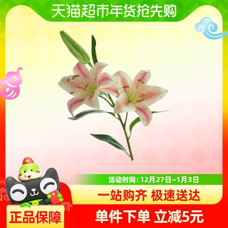 ���滨3ͷ�ָ���ˮ�ٺϼٻ�������滨�Ҿ�����װ�ΰڼ�������ֲ