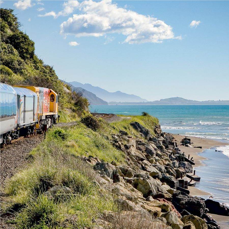 新西兰  南岛coastal pacific基督城往返皮克顿太平洋观景火车