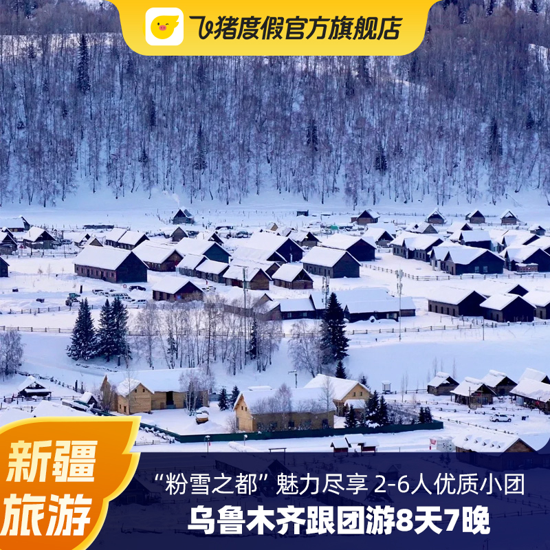 新疆旅游 乌鲁木齐跟团游8天7晚  北疆滑雪2-6人小团