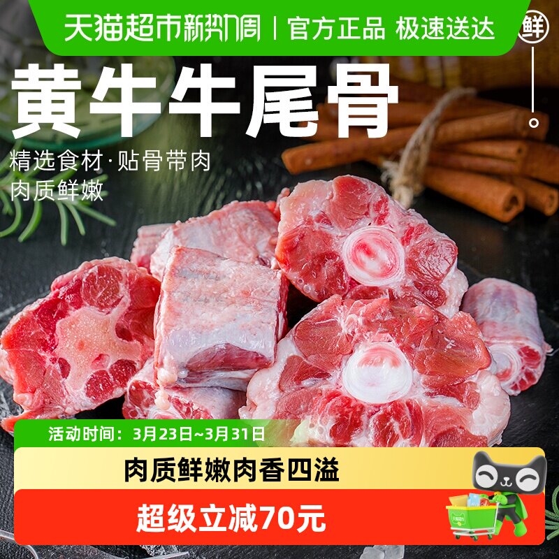 祁连天宝黄牛牛尾骨原切牛肉生鲜中断切块牛尾巴炖汤红烧食材