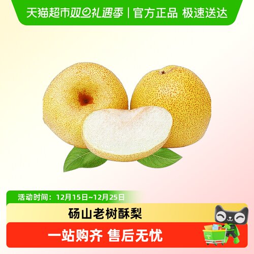 砀山老树酥梨新鲜水果