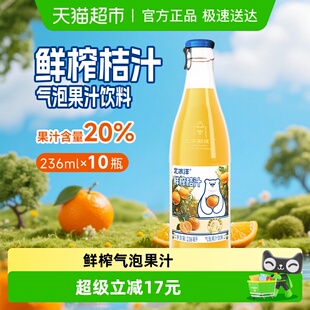 北冰洋玻璃瓶鲜榨气泡果汁桔汁国货桔汁气泡水饮品饮料236ml 10瓶
