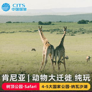 12天跟团动物迁徙五园一湖飞猪旅行 非洲肯尼亚10 上海 中国国旅