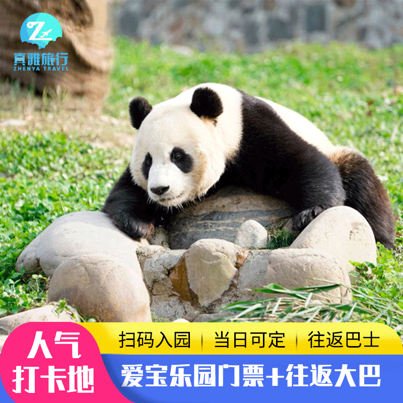 [爱宝乐园-1日票券+大巴][爱宝乐园-一日票券+大巴]韩国首尔京畿道成人儿童游乐园