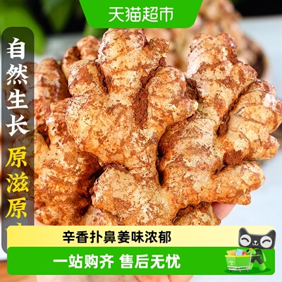 NEWDIVIDE云南小黄姜带泥