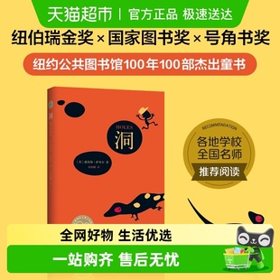 儿童文学小学生课外阅读书籍 阅读 洞 2024百班千人六年级暑假推荐