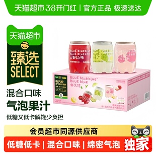 臻选柠檬共和国气泡果汁低糖低卡聚餐送礼混合口味礼盒装