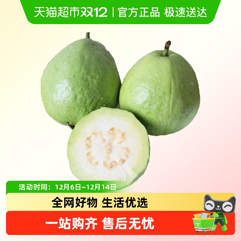 果园密码白心番石榴芭乐