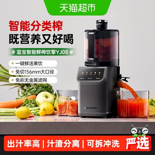 Blaupunkt蓝宝原汁机大口径1台