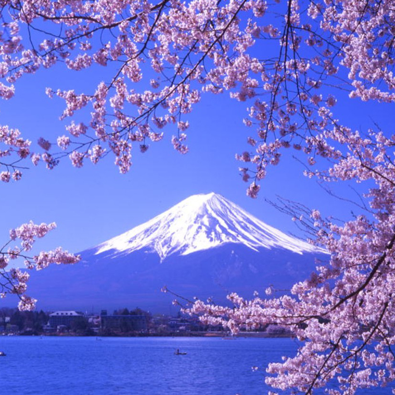 ںձ5-8عض˰Ʊβ 999Ԫ