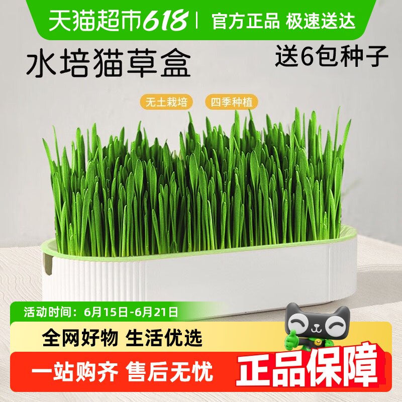 猫草盆栽小麦种子育苗盘无土水培化毛草猫薄荷自已种好幼猫咪零食