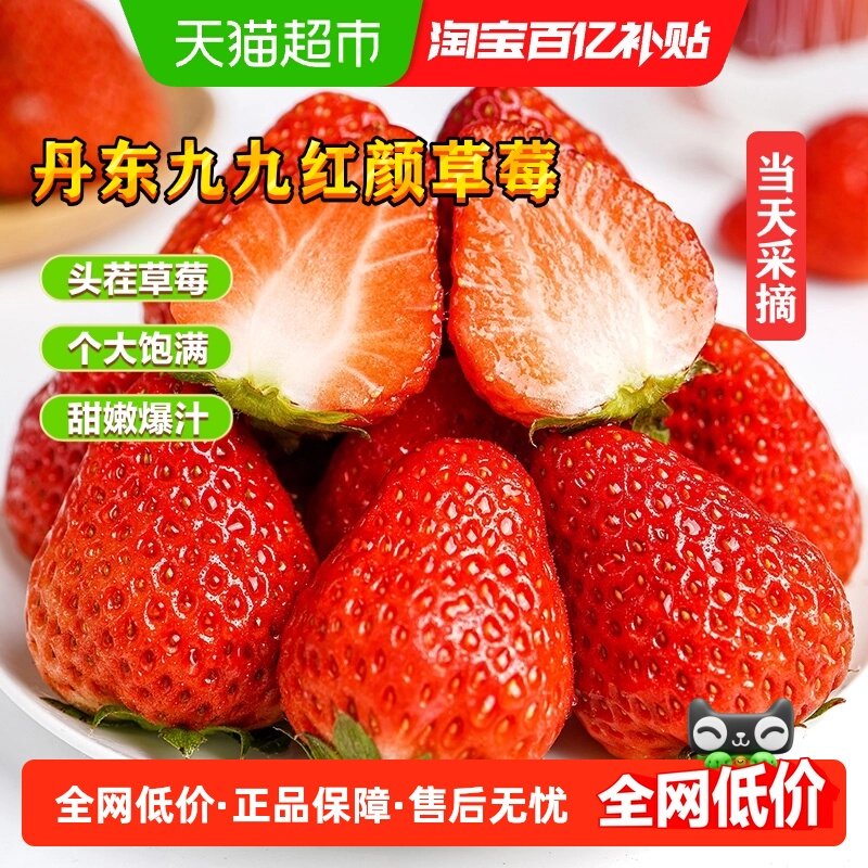 丹东99草莓红颜奶油草莓九九当季新鲜水果整箱京东空运包邮,水产肉类/新鲜蔬果/熟食,草莓,淘宝优惠券,粉丝福利购,淘宝优惠卷