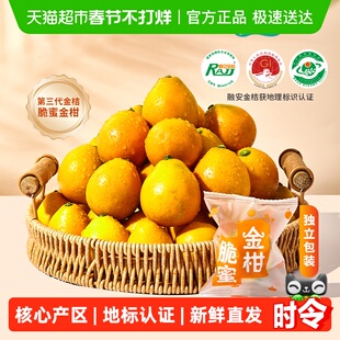 趣果昌第三代脆蜜金桔正宗融安金桔产地直发核心产区独立包装水果
