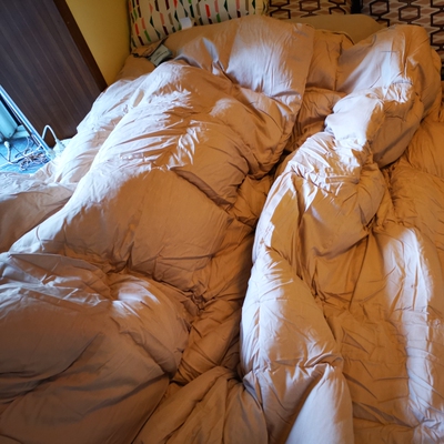 鸿润95%白鹅羽绒被怎么样值得入手吗？讲讲看