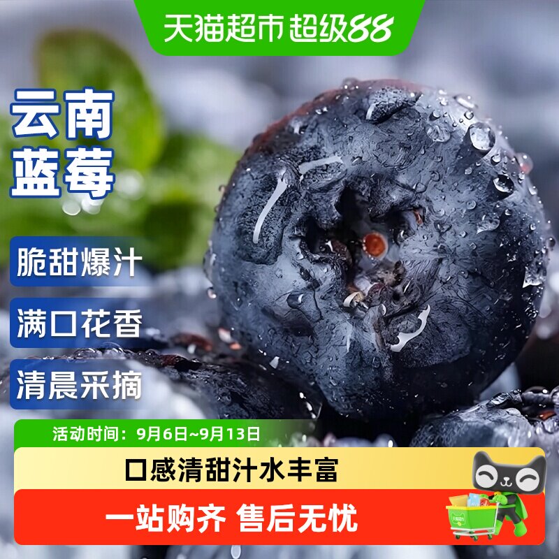 寻天果蔬秘鲁蓝莓应季鲜甜图片
