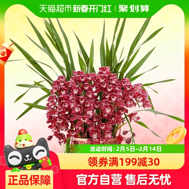 ޥƷʻڴֲܿҵǨ448.4Ԫ(88VIP 95)