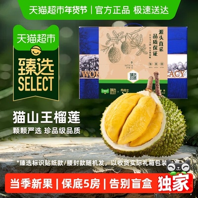 臻选马来进口AA级猫山王榴莲