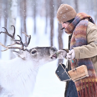 哈尔滨起止漠河北极村北红村纯玩5日游一家一团无自费无购物