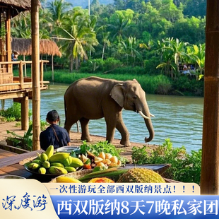 【版纳深度游】西双版纳8天7晚私家团全程四钻酒店体验活动旅拍