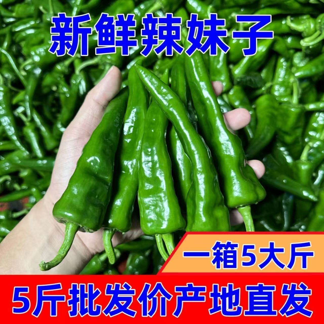 特辣辣妹子辣椒新鲜蔬菜薄皮青椒农家自种现摘现发包邮
