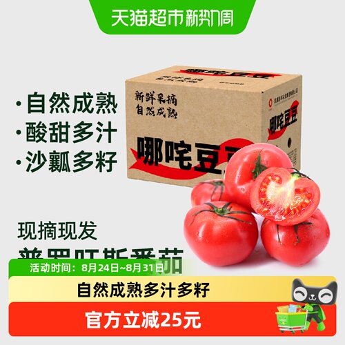 哪咤豆豆普罗旺斯番茄酸甜多汁