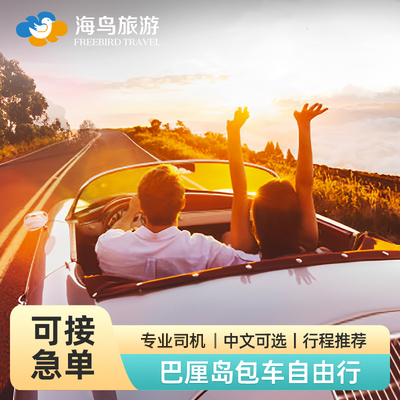 印尼巴厘岛包车游玩可选中文司机佩尼达罗威纳乌布乌鲁瓦图情人崖