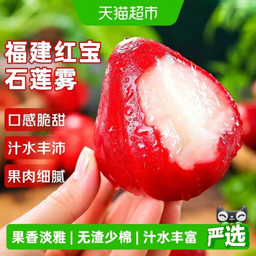 寻天果蔬福建红宝石莲雾少渣爽口