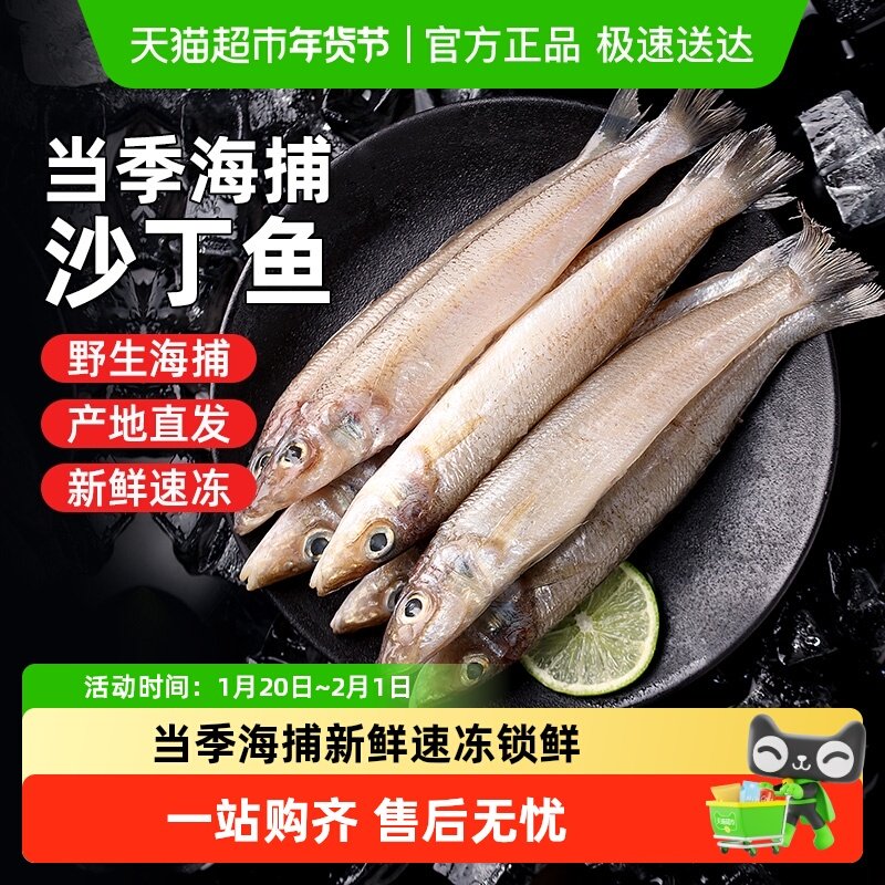 舟山大号沙丁鱼新鲜尖梭鱼深海捕鱼鲜活冷冻海鱼沙尖鱼海鲜水产,水产肉类/新鲜蔬果/熟食,秋刀鱼,淘宝优惠券,粉丝福利购,淘宝优惠卷