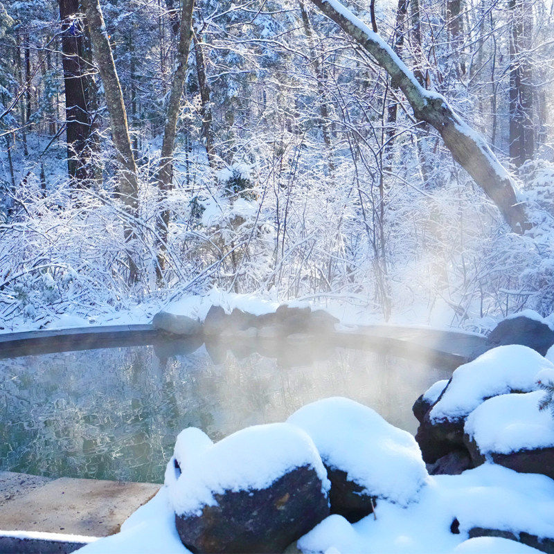 雪季2-3晚北坡长白山蓝景国际生态交流中心酒店2大1小温泉