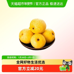当季新鲜南果梨新鲜水果当季甜白梨脆甜多汁整箱
