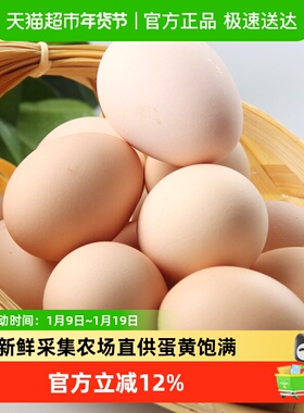 田园居AAA级鸡蛋新鲜鸡蛋45g*20枚谷物喂养营养鸡蛋整箱礼盒装