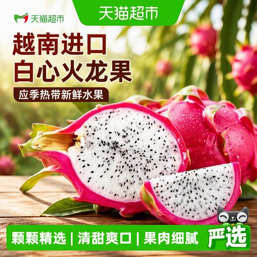 京运达越南白心火龙果
