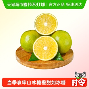 NEWDIVIDE云南玉溪冰糖橙现摘现发薄皮多汁橙子当季哀牢山手剥橙