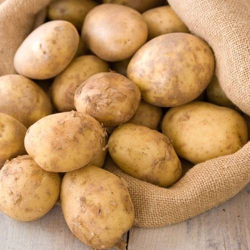 贵州土豆黄皮黄心土豆马铃薯洋芋纯天然生长粉糯爆皮土豆农家自种