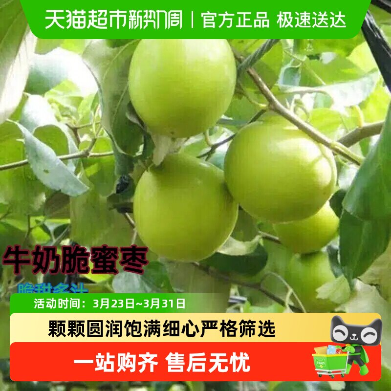 【精选好果  顺丰包邮】闽南脆蜜枣牛奶枣贵妃枣脆甜多汁新摘采摘