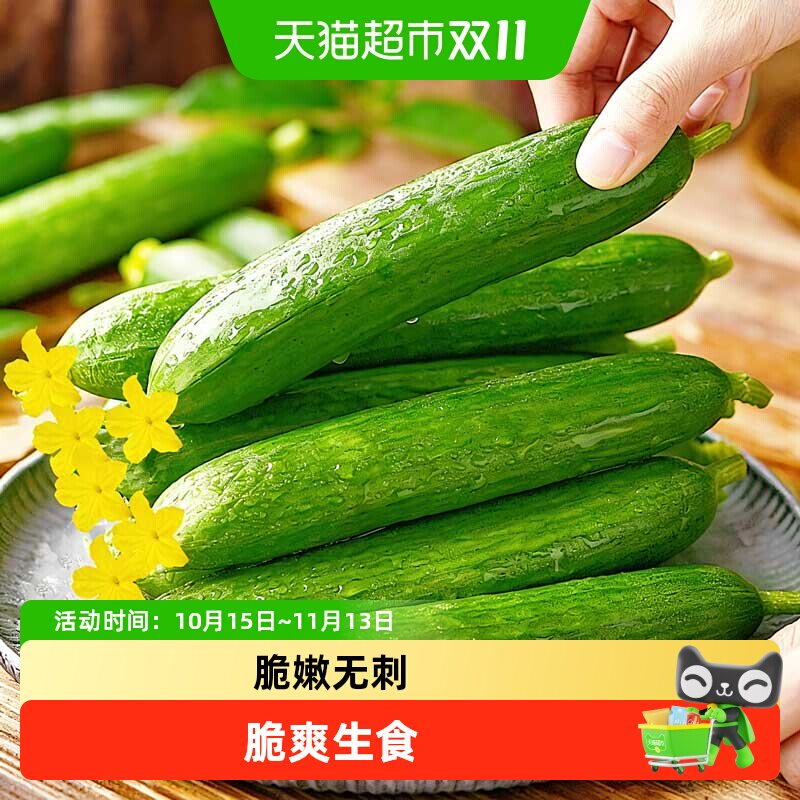 繁花似锦新鲜水果黄瓜旱黄瓜青瓜脆爽生食无刺脆嫩健康蔬菜面包果