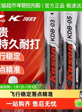 李宁凯胜羽毛球耐用鹅毛专业训练g100s室外kdb03室内外醒目训练球
