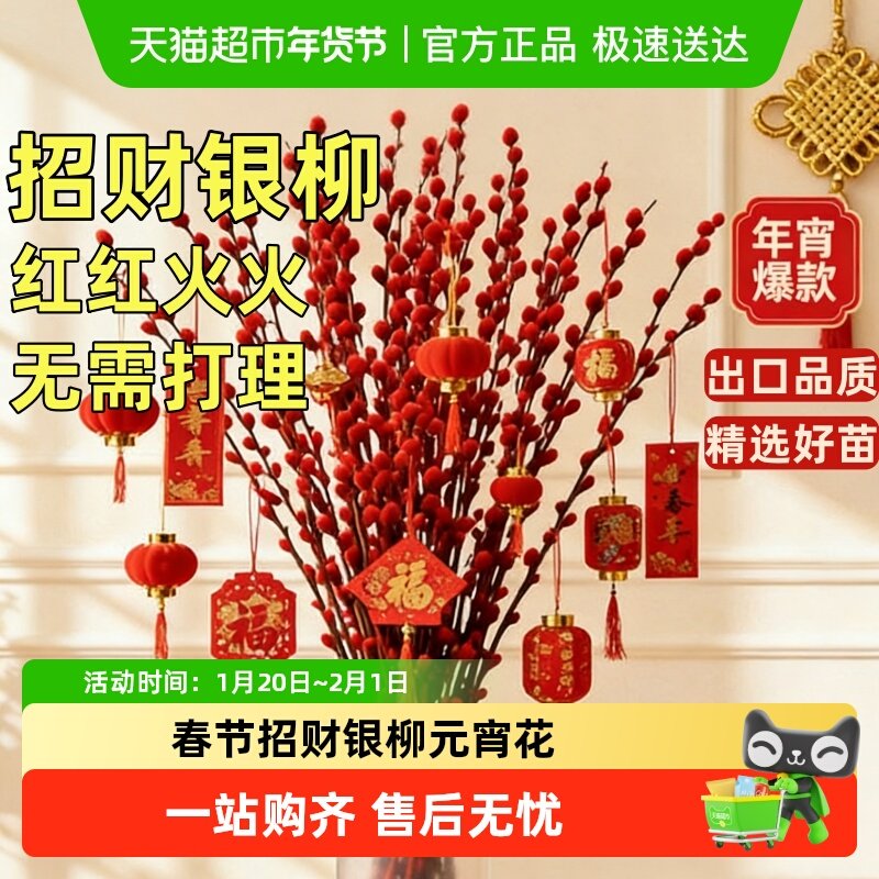银柳真花鲜枝客厅摆件四季干花新年红色福桶招财年宵花卉盆栽绿植,鲜花速递/花卉仿真/绿植园艺,鲜花速递(同城),淘宝优惠券,粉丝福利购,淘宝优惠卷