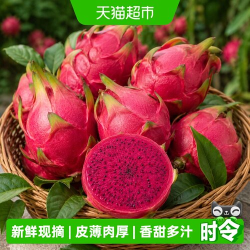 我有果果红心火龙果现摘水果
