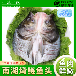 南湾湖信阳胖头鱼白鲢鳙鱼头清炖南湾鱼头汤鱼头新鲜顺丰包邮