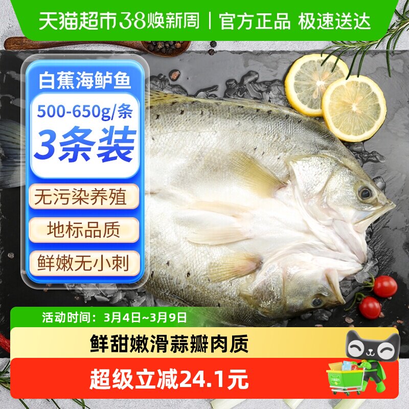 钓鱼记白蕉海鲈鱼500g*3条三去开背新鲜冷冻真空烤鱼半成品
