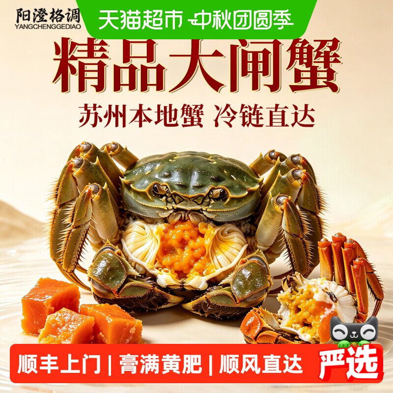 阳澄格调活蟹大闸蟹全母蟹螃蟹