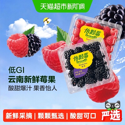 怡颗莓云南新鲜树莓黑莓稀有水果