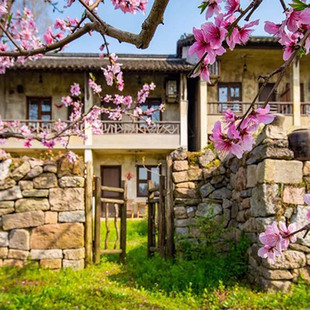 乌镇乌村稻舍乡村酒店悦享标间1晚 西栅景区游览村游 含早