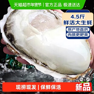 乳山生蚝鲜活特大海蛎子刺身新鲜牡蛎整箱