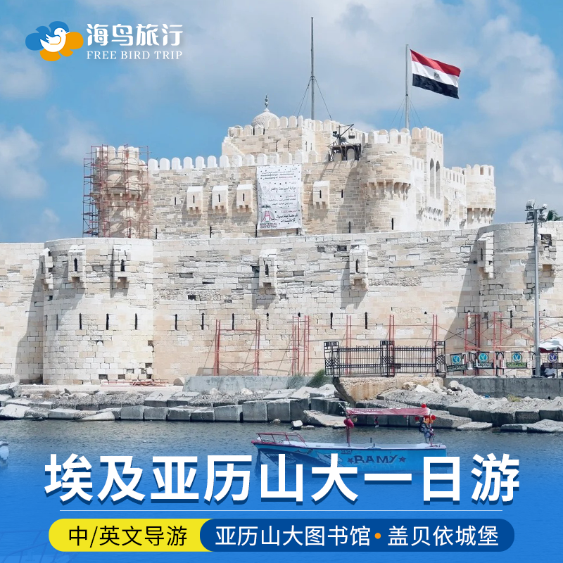 埃及旅游开罗亚历山大一日游庞贝柱蒙塔扎宫盖贝依城堡中文包车