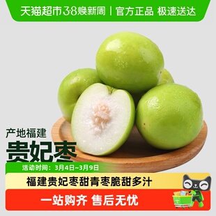 福建贵妃枣甜青枣脆甜多汁应季新鲜水果现摘脆枣子整箱