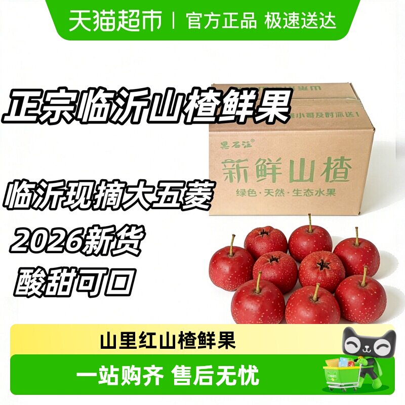 山楂鲜果新鲜孕妇水果大五菱现摘山里红小果甜红子野生小山楂
